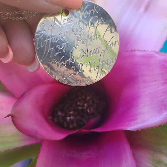 TIFFANY EX LARGE PENDANT FLAGSHIP STORE NYC LOGO - Picture 5 of 8